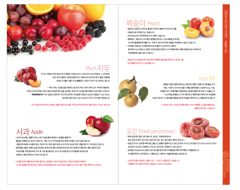 후레쉬 팩토리 이미지
