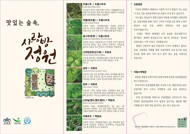 꿈속의정원 이미지