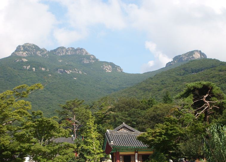 해남두륜산농원 이미지