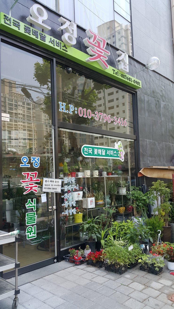 오정꽃집 이미지