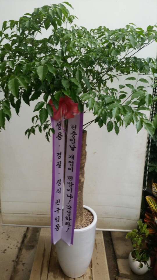 일번가당구클럽 이미지