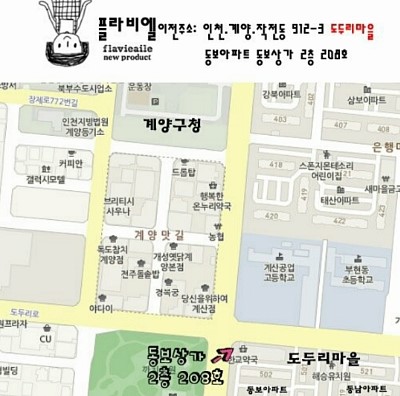 플라비 이미지