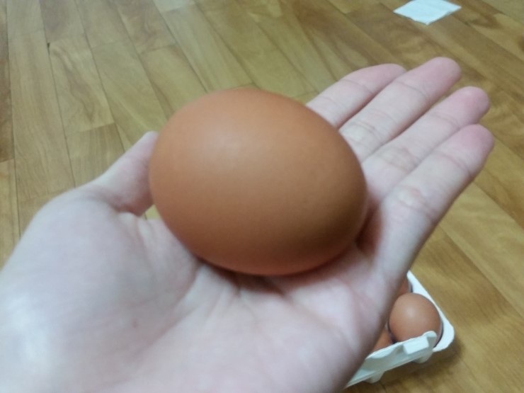 오경(젤란) 이미지