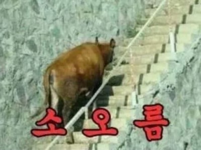 앙바이크 이미지