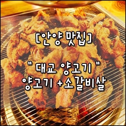 대교양고기 이미지