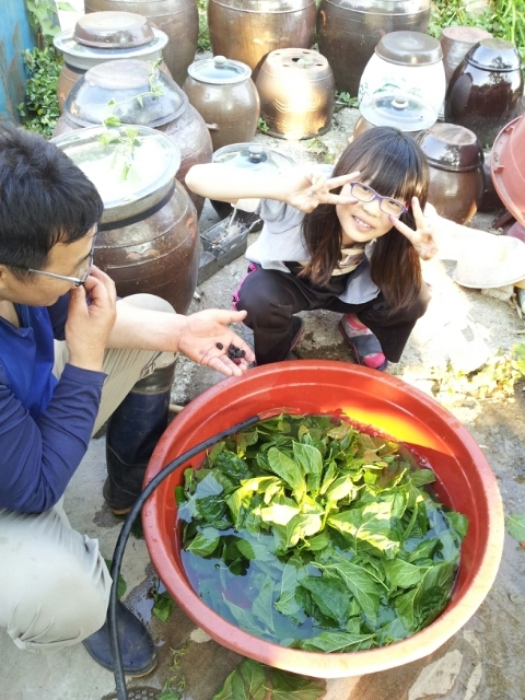 마술비누공방 이미지