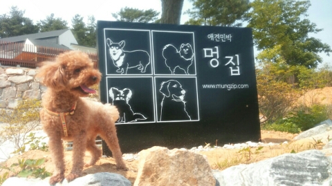 하루민박 이미지