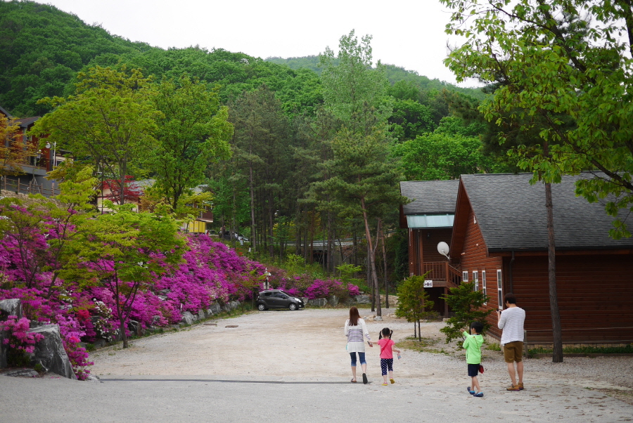 운악산자연휴양림 이미지