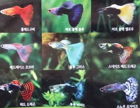 물의나라수족관 이미지