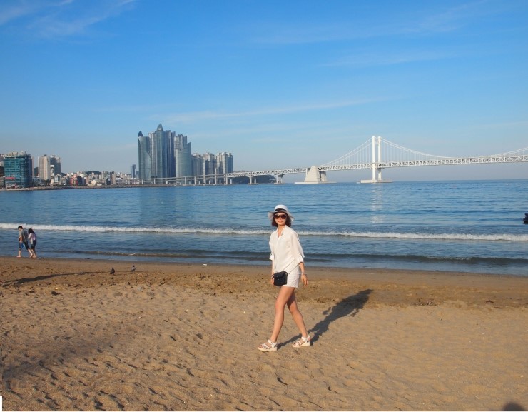 도나보나 이미지