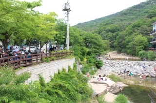 촌골오리 이미지
