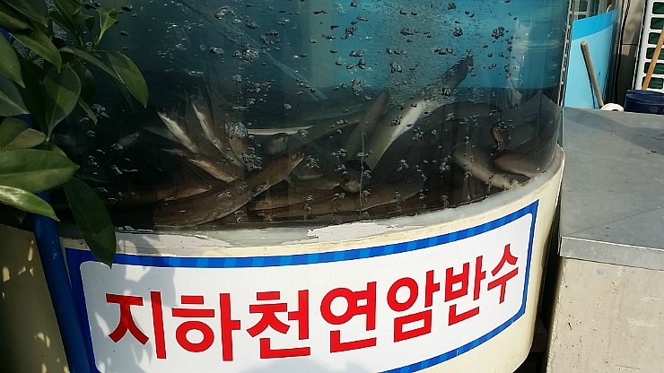 장어나라 이미지