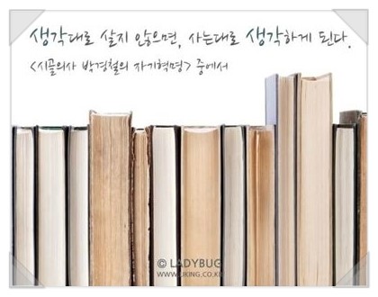 꼬레아이 이미지