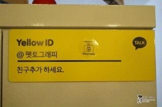 스튜디오코기 이미지