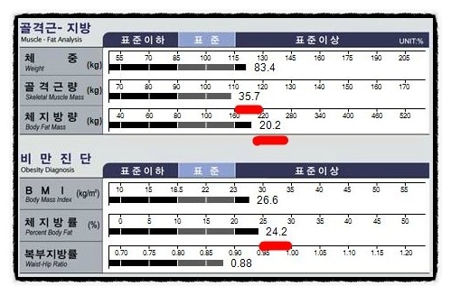휘트니스6.3 이미지
