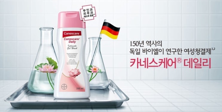 카네스 이미지