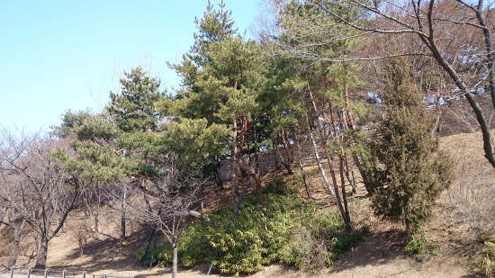 건축사사무소옆집 이미지