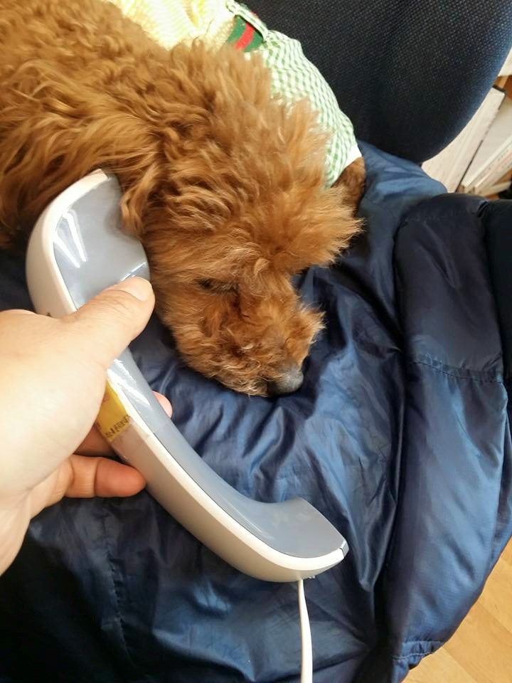스타엘 이미지