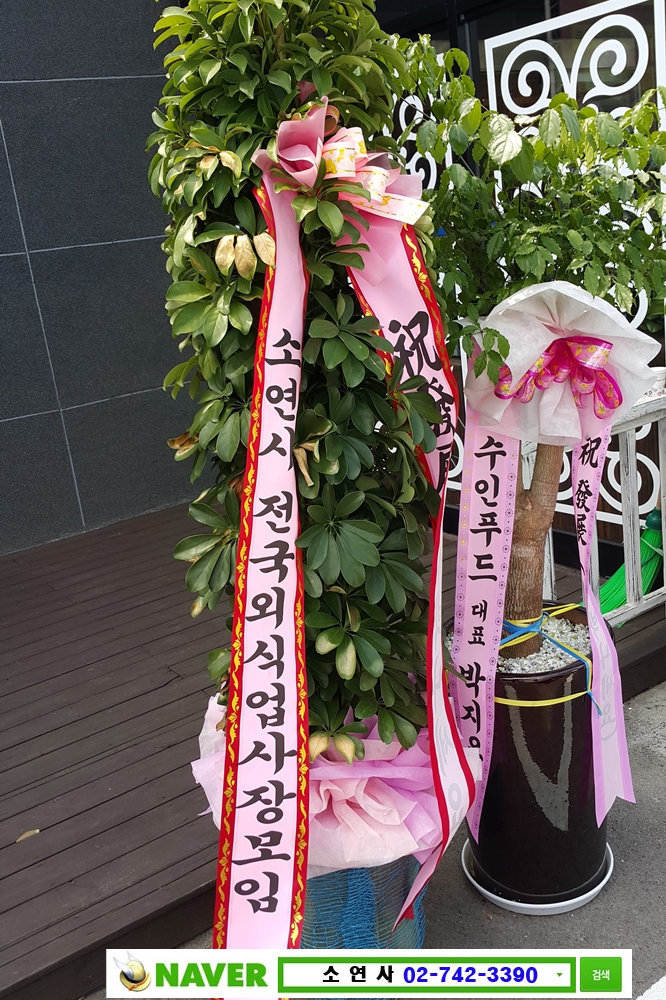 미소육화 이미지