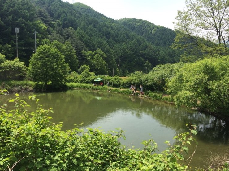 산으로간니모 이미지