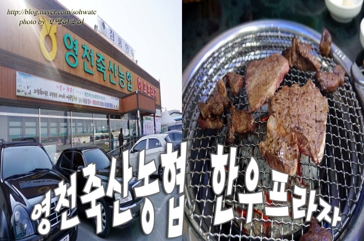 경북한우축산조합 이미지