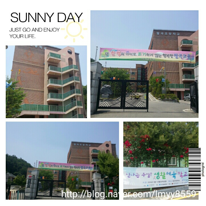 팔곡초등학교 이미지