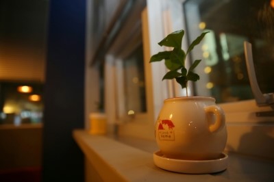 탐나마트아라점 이미지