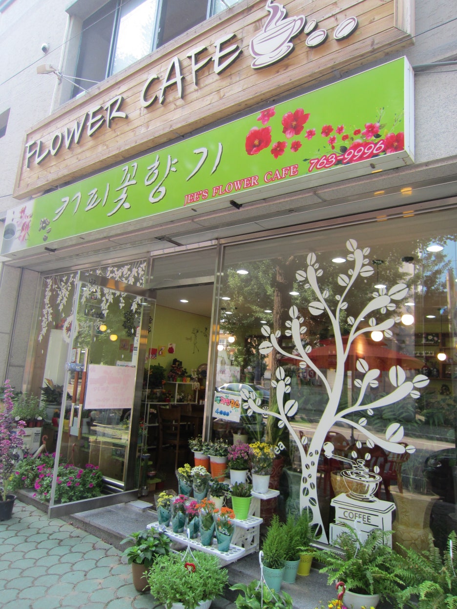 커피나무꽃향기 이미지