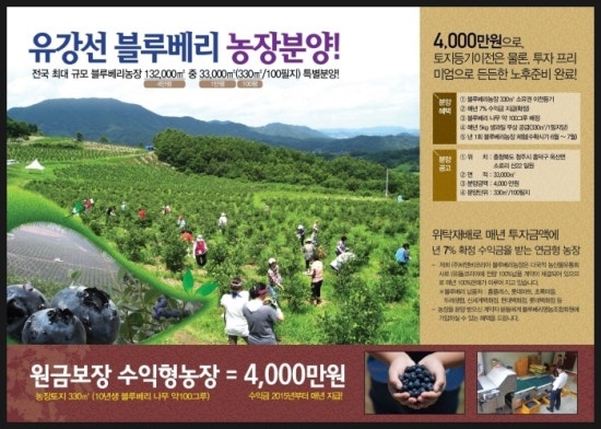 (주)블루베리코리아 이미지