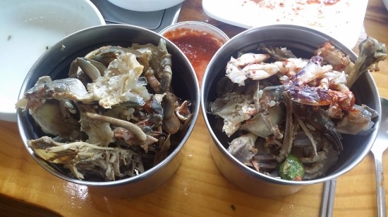 촌닭과오리 이미지