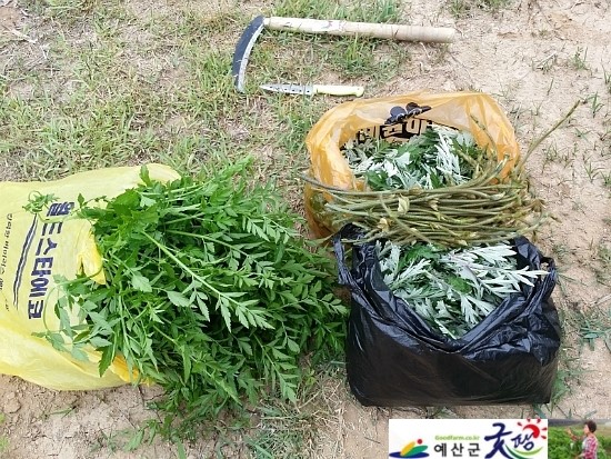 두란농장 이미지