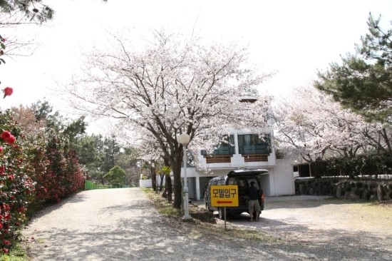 숲모텔 이미지
