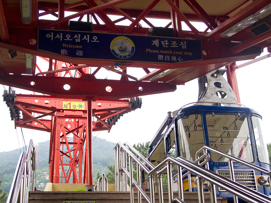 금강카 이미지