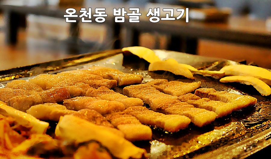 밤골랜드 이미지