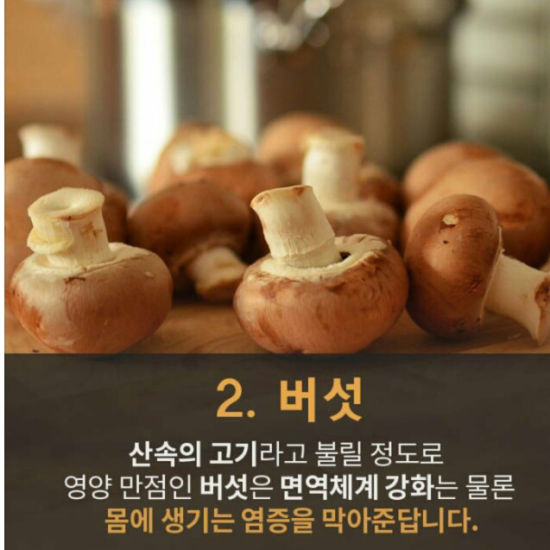 새한카 이미지