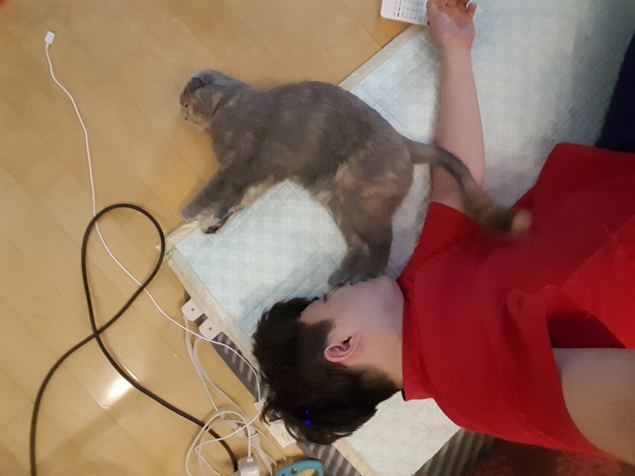 빈둥 이미지