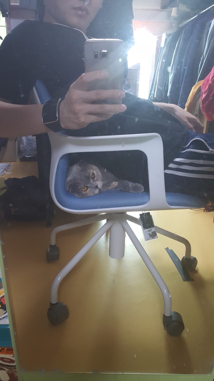 빈둥 이미지