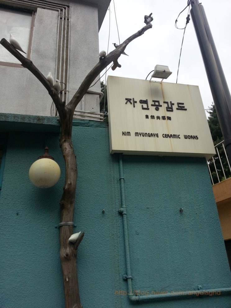 김명례의자연공감도 이미지