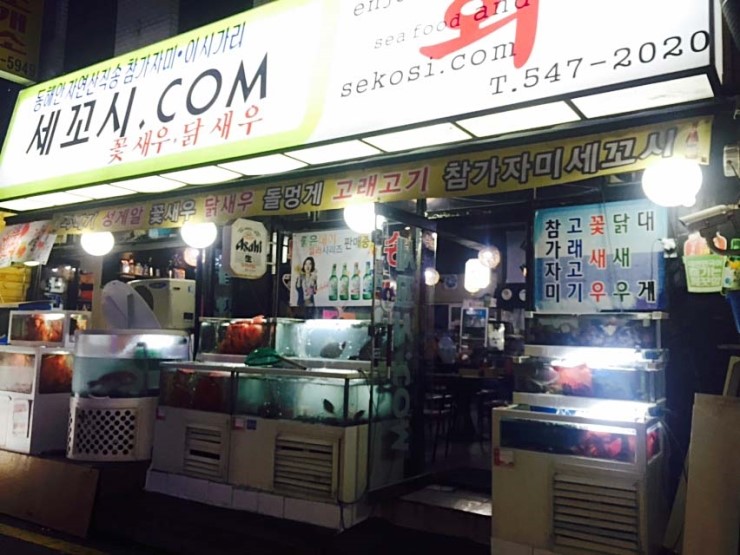 세꼬시닷컴 이미지