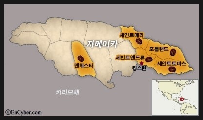 또똣커피 이미지