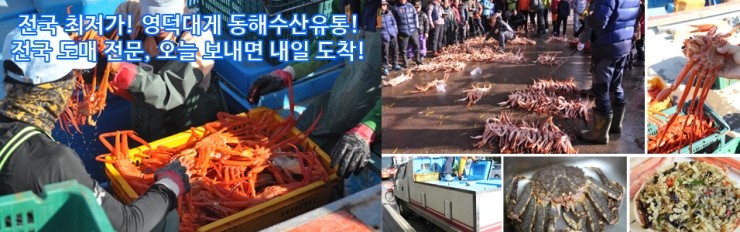 싸다수산 이미지