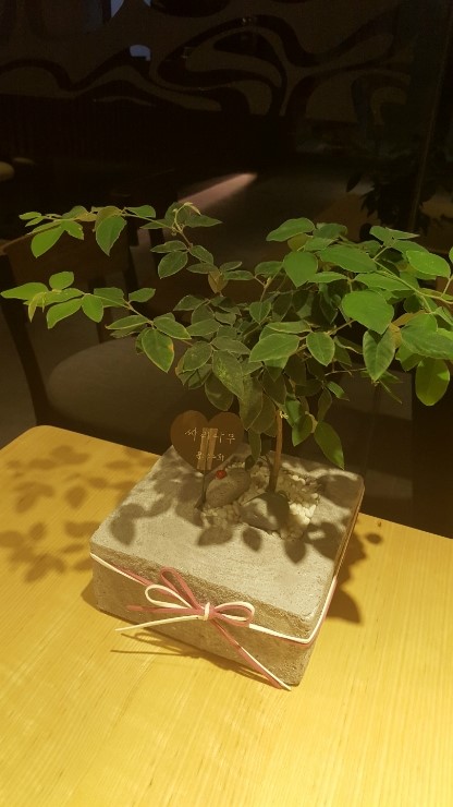 세무법인이우 이미지
