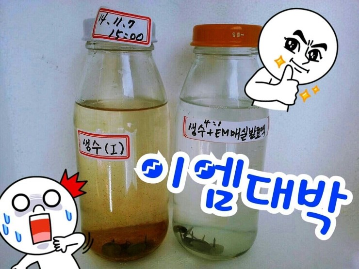 보아스홈케어 이미지