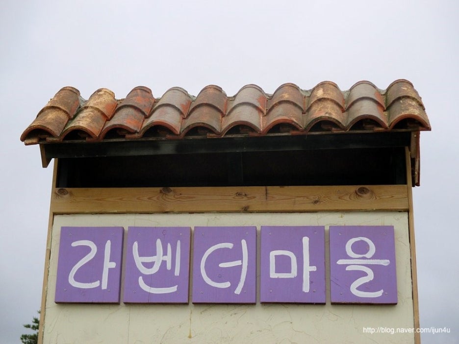하늬마을나무 이미지