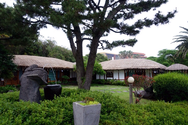 제주돈돼지 이미지