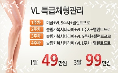 브이엘 이미지