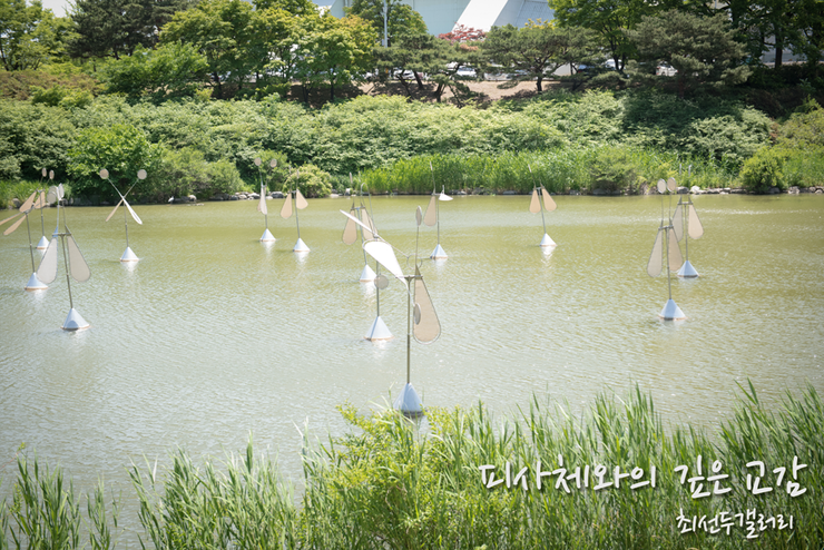 최선두갤러리 이미지