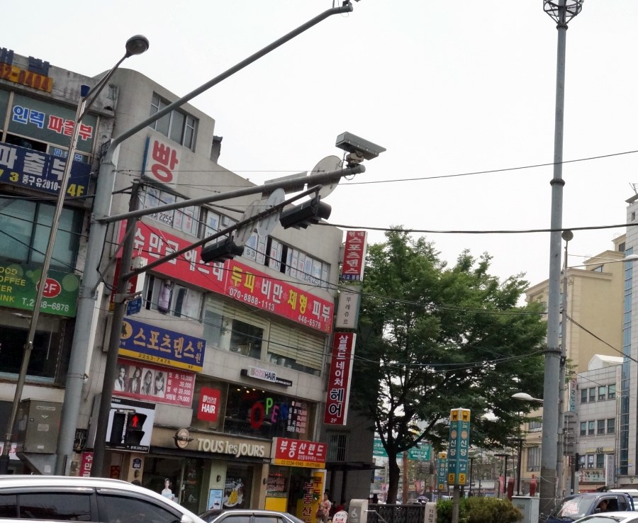 살롱드네이처 이미지