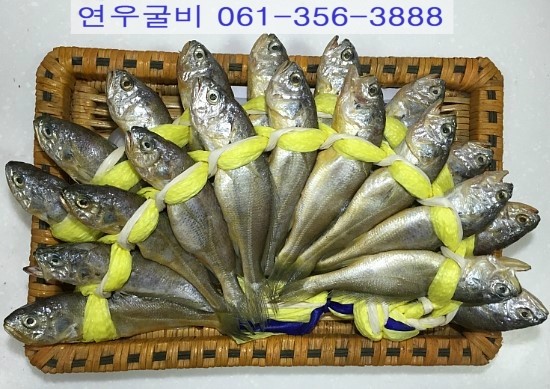 영광굴비 이미지