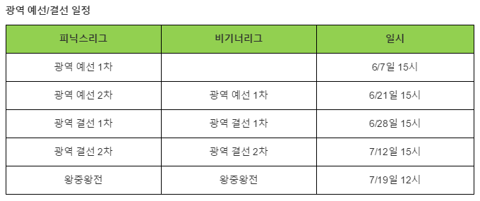 피닉스다트 이미지